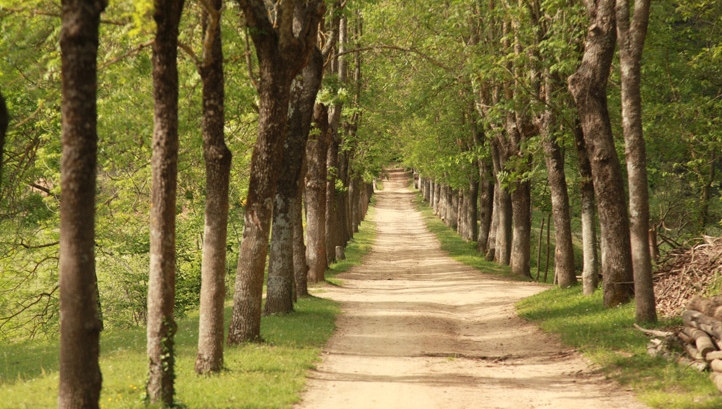 The path to public-sector sustainability is paved with good intentions